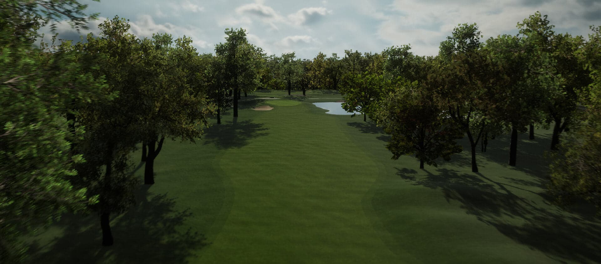Foresight FSX Play